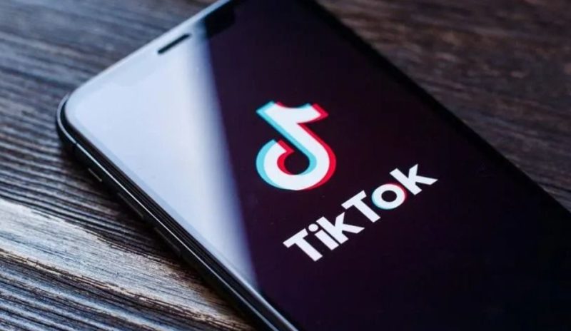 2024德国Tik Tok电商市场调研报告-生财