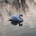 jack的头像-生财