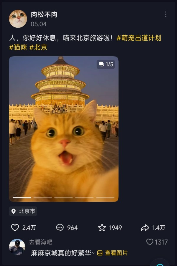 猫咪旅游，小红书和抖音上数据都很好-上榜风向标生财-情报-生财
