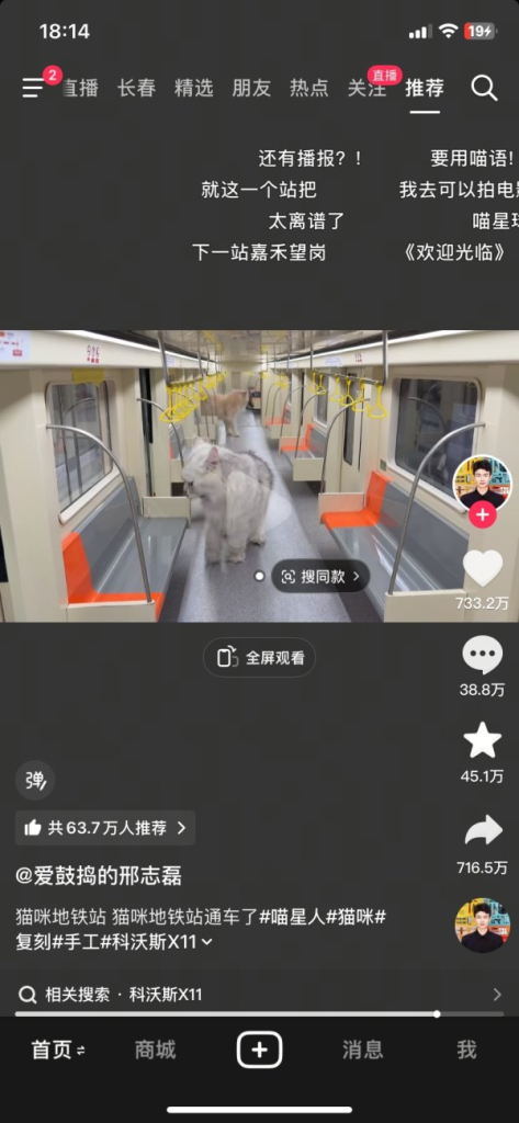 抖音一个给猫制作各种好玩的玩意儿的博主-上榜风向标生财-情报-生财