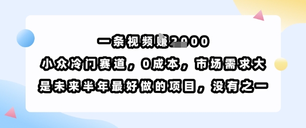 一条视频挣1k，小众冷门赛道，0成本，市场需求大，是未来半年最好做的项目，没有之一-生财