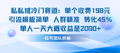私域冷门赛道单个收费198米引流模板简单人群精准 45%的转化率单人一天大概收益多张-生财