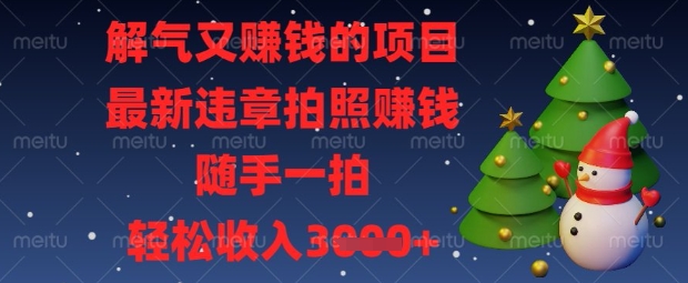 解气又挣钱的项目,最新违章拍照挣钱,随手一拍,轻松收入数张【揭秘】-生财