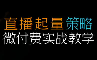 半野老师·直播带货起量与微付费必学课视频号-生财