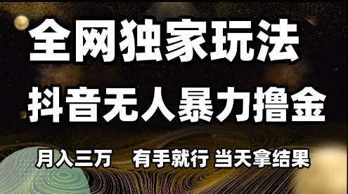 全网独家玩法抖音无人暴力撸金，月入3W，有手就行，当天拿结果【揭秘】-生财