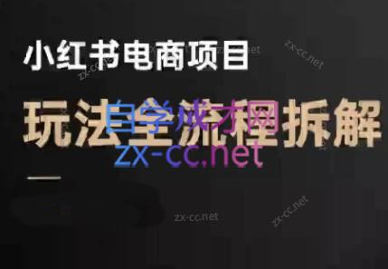 菲菲老师·小红书电商玩法(更新9月)-生财