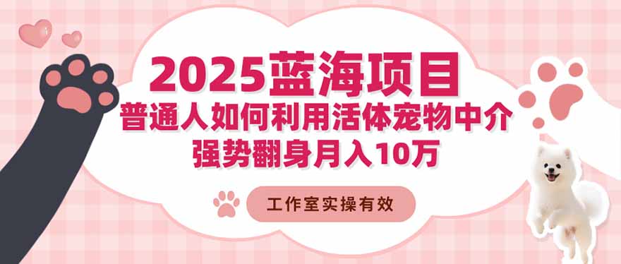 2025蓝海项目：普通人如何利用活体宠物中介，强势翻身月入10万-生财