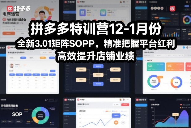 拼多多特训营12-1月份，全新3.01矩阵Sop，精准把握平台红利，高效提升店铺业绩-生财
