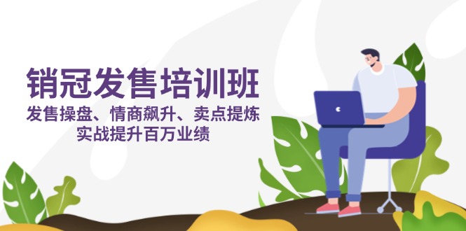 销冠 发售培训班:发售 操盘+情商 飙升+卖点 提炼,实战提升百万业绩-生财