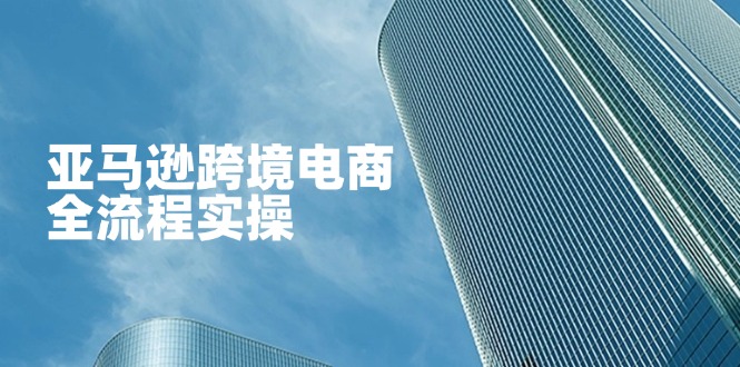 亚马逊跨境电商全流程实操,教你从零开始,掌握店铺运营与广告技巧-生财