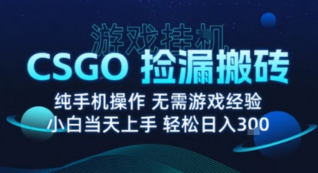 8月最新游戏搬砖,CSGO纯挂G,不需要玩游戏,实现真挂G,月入1W+【揭秘】-生财
