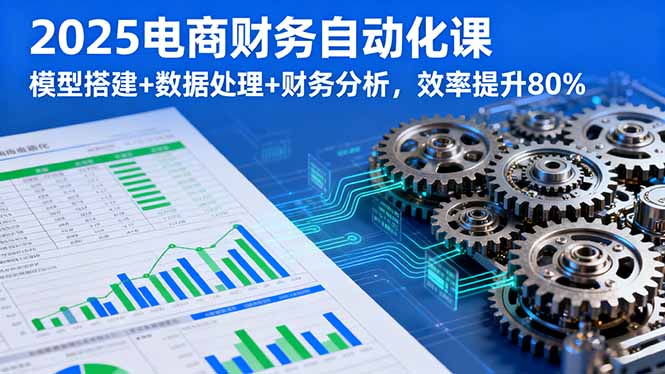 2025电商财务自动化课,模型搭建+数据处理+财务分析,效率提升80%-生财