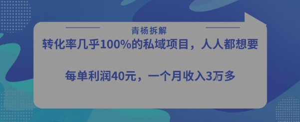 转化率最高的私域项目,每单利润40-50米,月入过1w-生财
