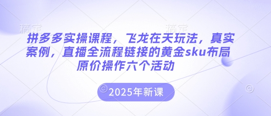 拼多多实操课程,飞龙在天玩法,真实案例,直播全流程链接的黄金sku布局原价操作六个活动-生财