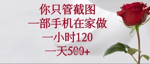 你只管截图，一部手机在家操作，一小时120.一天5张【揭秘】-生财