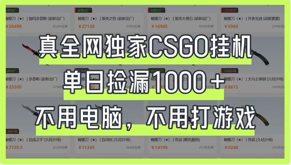 真全网独家CSGO挂机，单日捡漏1000+，不用电脑，不用养号-生财
