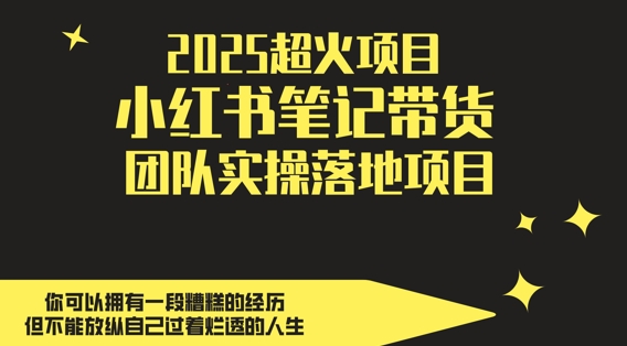 2025超火项目,副业最佳选择,小红书笔记带货团队实操落地项目,,轻松日入5张-生财