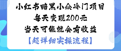 小红书暗黑小众冷门项目每天变现2张当天可能就会有收益-生财