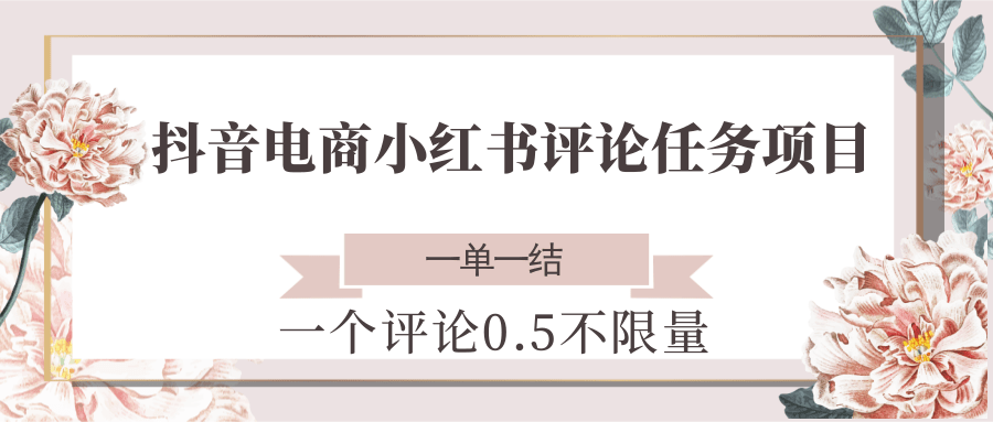 抖音电商小红书评论任务项目，一个评论0.5，一单一结 不限量-生财
