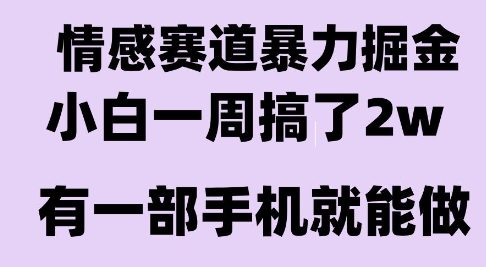 情感暴力掘金项目，新人操作一周挣了2W，长期稳定小白可做【揭秘】-生财