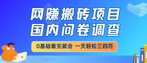 网创搬砖项目，国内问卷调查，小白轻松上手，一天三四张的也不难，干就完了【揭秘】-生财