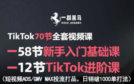 TikTok全套视频课,新手入门+进阶课,短视频ADS-GMV MAX投流打品,日销破1000单打法-生财