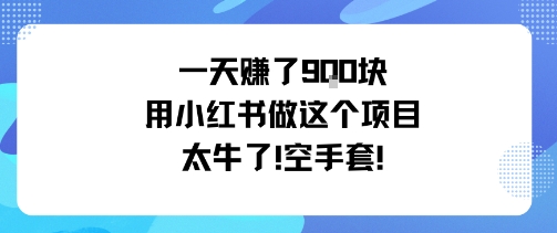 一天挣了9张用小红书做这个项目太牛了，空手套-生财