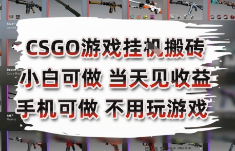 CSGO游戏挂G搬砖，小白纯手机即可操作，不用电脑打游戏，日入3张+，副业网创项目【揭秘】-生财