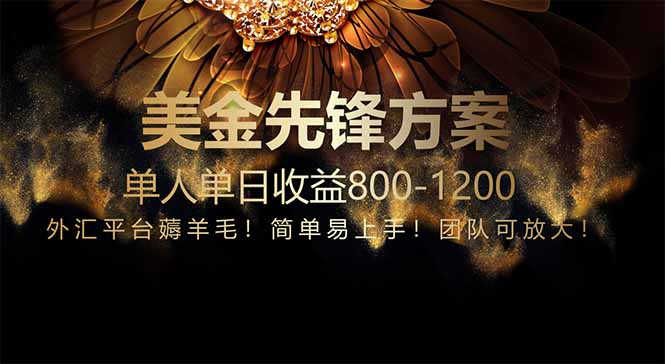 免费技术！小众赛道！一年布局抵三年努力，每日800+-生财