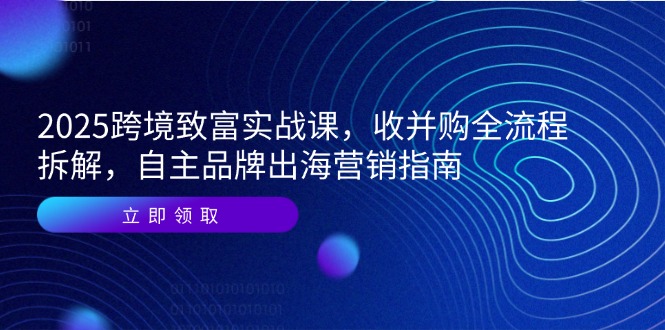 2025跨境致富实战课，收并购全流程拆解，自主品牌出海营销指南-生财