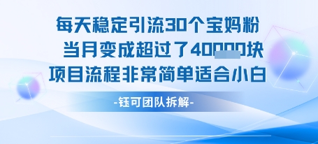每天稳定引流30个人 当月变成超过了4个W项目流程非常简单适合小白-生财