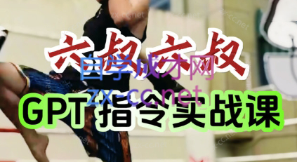 六叔的AI指令实战课(更新7月)-生财