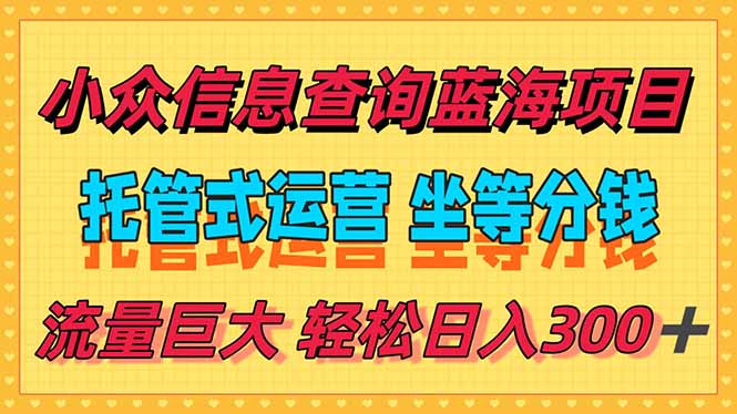 稳定日入300+,小众信息查询蓝海项目,全程懒人式托管,解放你的时间-生财