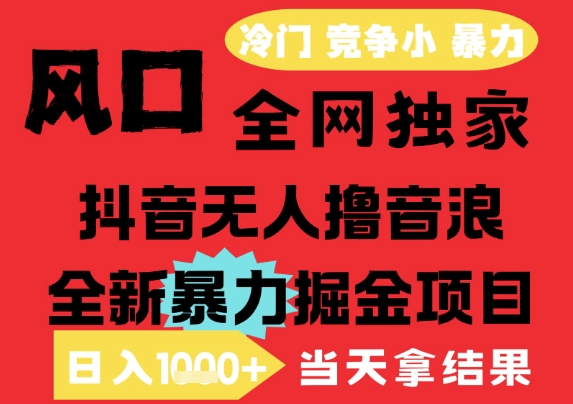 25年6月高爆抖音无人直播最新撸音浪掘金项目,解放双手小白可做,无脑日入1k+,门槛低【揭秘】-生财