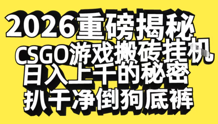 2026开年重磅解密，CSGO游戏搬砖挂G日入1k+的秘密，把倒狗的底裤扒干【揭秘】-生财