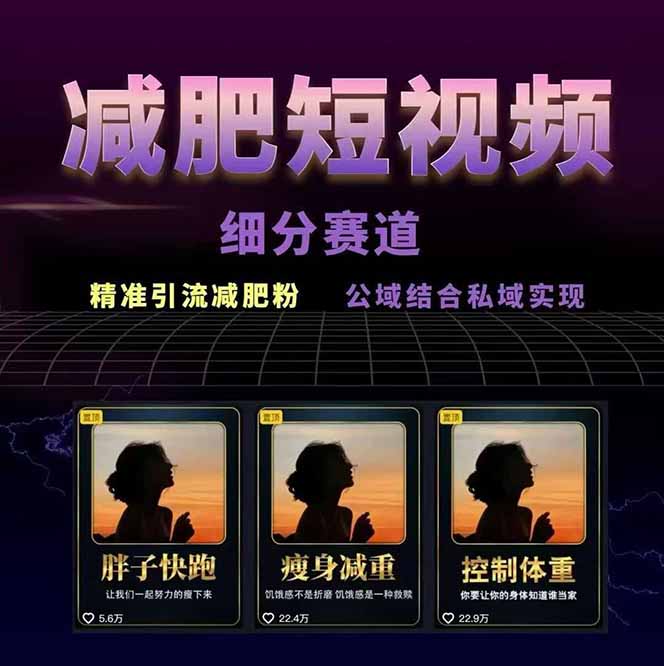 图片[1]-减肥短视频赛道运营课：素材准备-视频制作-引流变现全流程 (附素材-生财