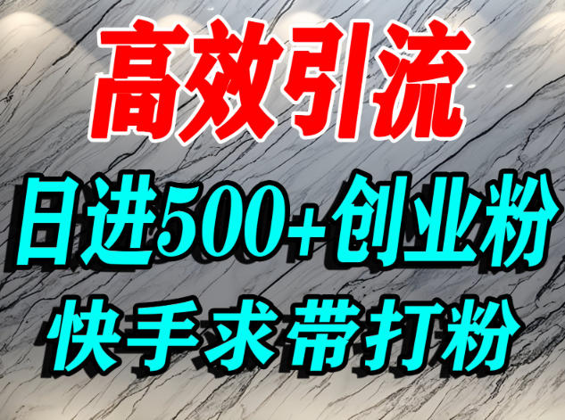 怎么打创业粉?快手求带视角精准引流创业粉,宝妈、学生群体日进500+精准流量-生财
