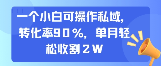 一个小白可操作私域,转化率90%,单月轻松收割2W-生财