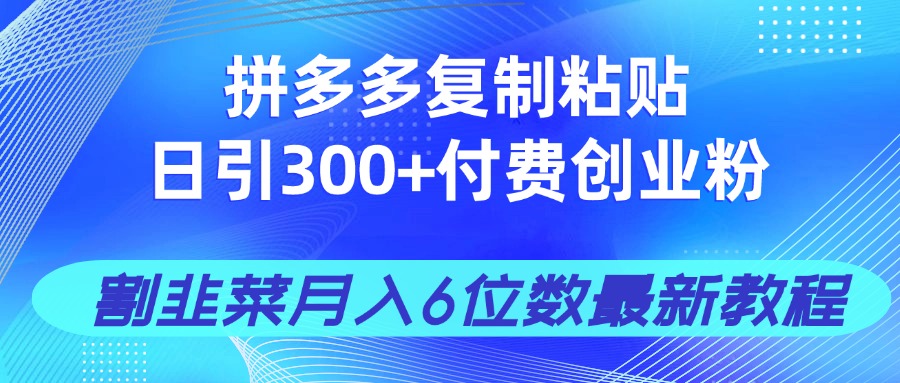 拼多多复制粘贴日引300+付费创业粉，割韭菜月入6位数最新教程！-生财