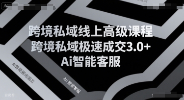 跨境私域线上高级课程,跨境私域极速成交3.0+Ai智能客服-生财