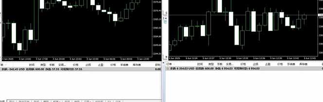 图片[4]-美金对冲创业项目，日收益1000-3000，小众暴力项目稳定运行8年-生财