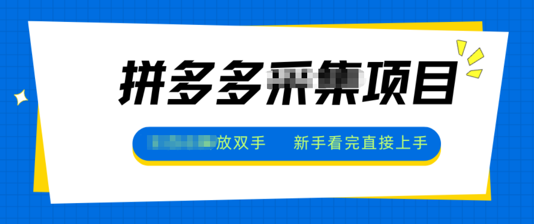 拼多多电商采集，一小时50+，操作简单，零投资-生财