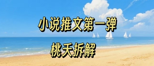 小说推文项目操作全流程第一弹，0粉就能做，门槛低非常适合新手-生财