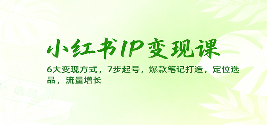 小红书IP变现课：6大变现方式，7步起号，爆款笔记打造，定位选品，流量增长-生财