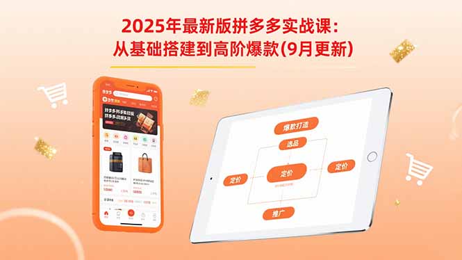 2025年最新版拼多多实战课:从基础搭建到高阶爆款(9月更新-生财