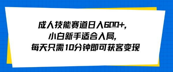 成人技能赛道日入多张，小白新手适合入局，每天只需10分钟即可获客变现-生财