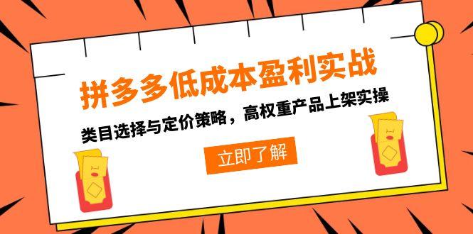 拼多多低成本盈利实战，类目选择与定价策略，高权重产品上架实操-生财