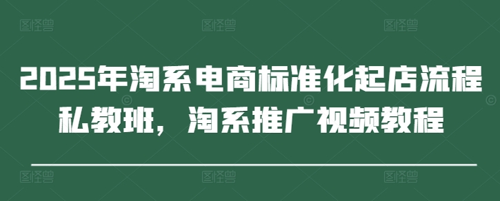 2025年淘系电商标准化起店流程私教班，淘系推广视频教程-生财