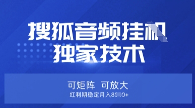 【搜狐音频挂G】独家技术,可矩阵可放大,红利期稳定月入8k【揭秘】-生财