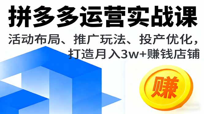 拼多多运营实战课，活动布局、推广玩法、投产优化，打造月入3w+赚钱店铺-生财